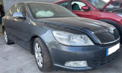 PUERTA DEL. DCHA. para Skoda Octavia Berlina (1Z3)(2008->)