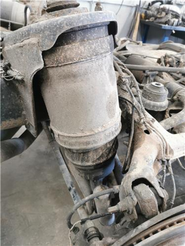 AMORTIGUADOR TRA. DCHO.