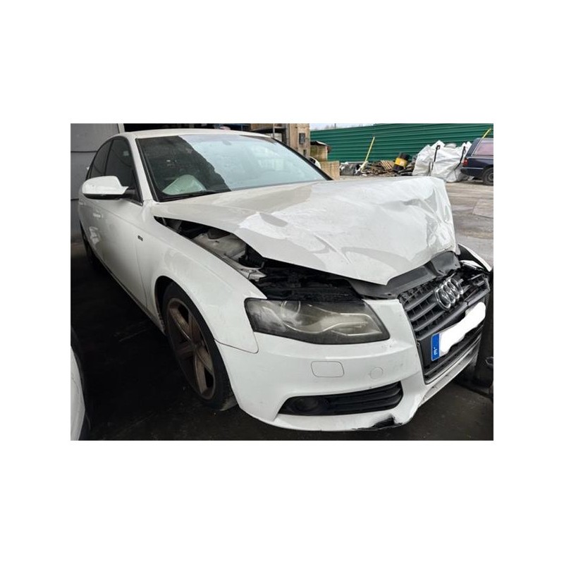 CINTURON SEGURIDAD TRA. DCHO.