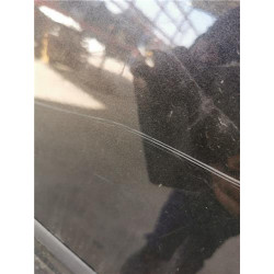 PUERTA DEL. IZDA. para Audi A3 Sportback (8PA)(09.2004->)