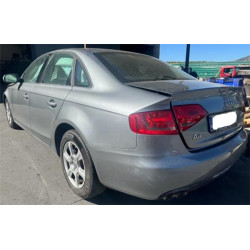 CINTURON SEGURIDAD TRA. IZDO.