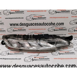 PILOTO DEL. DCHO. LUZ DIURNA