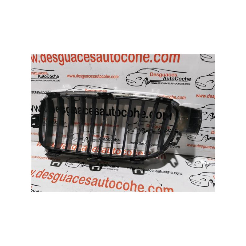 REJILLA PARAGOLPES DEL.