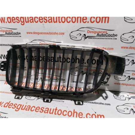 REJILLA PARAGOLPES DEL.