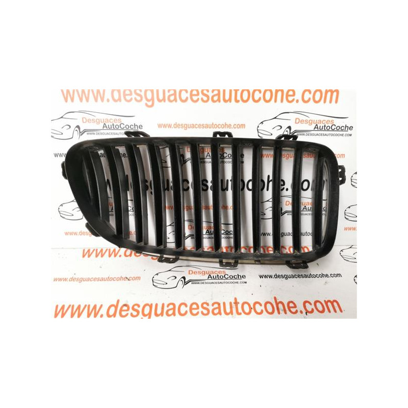 REJILLA PARAGOLPES DEL.