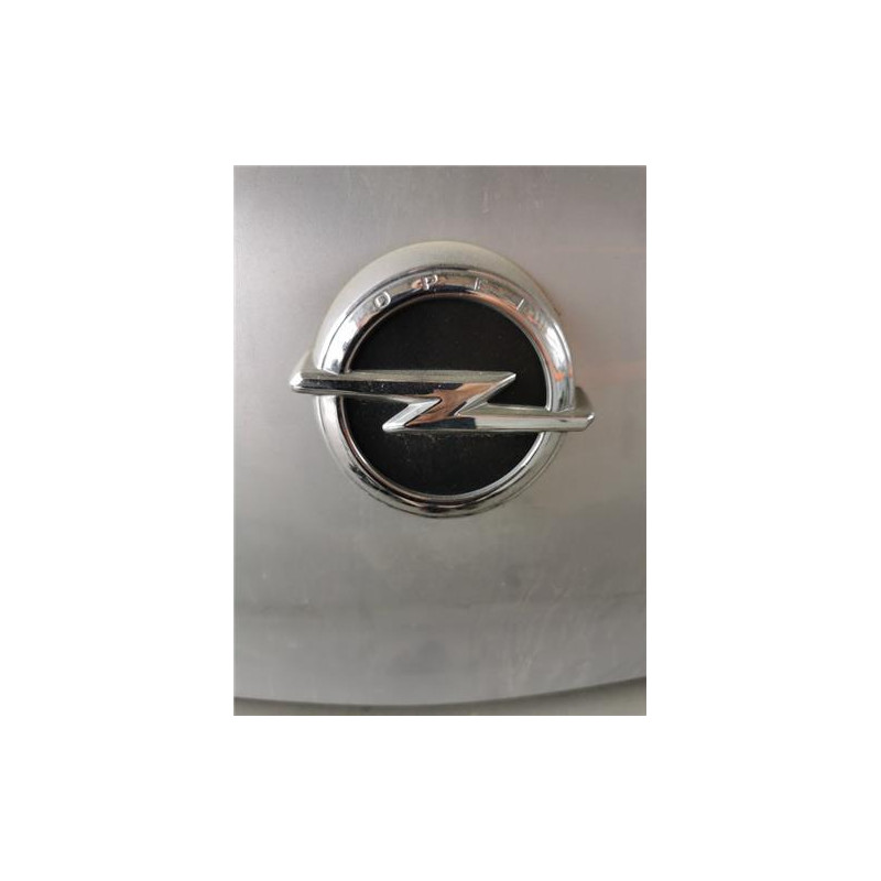 MANETA EXTERIOR PORTON