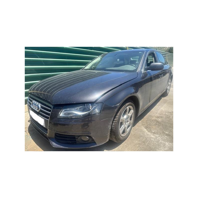 AMORTIGUADOR TRA. DCHO.