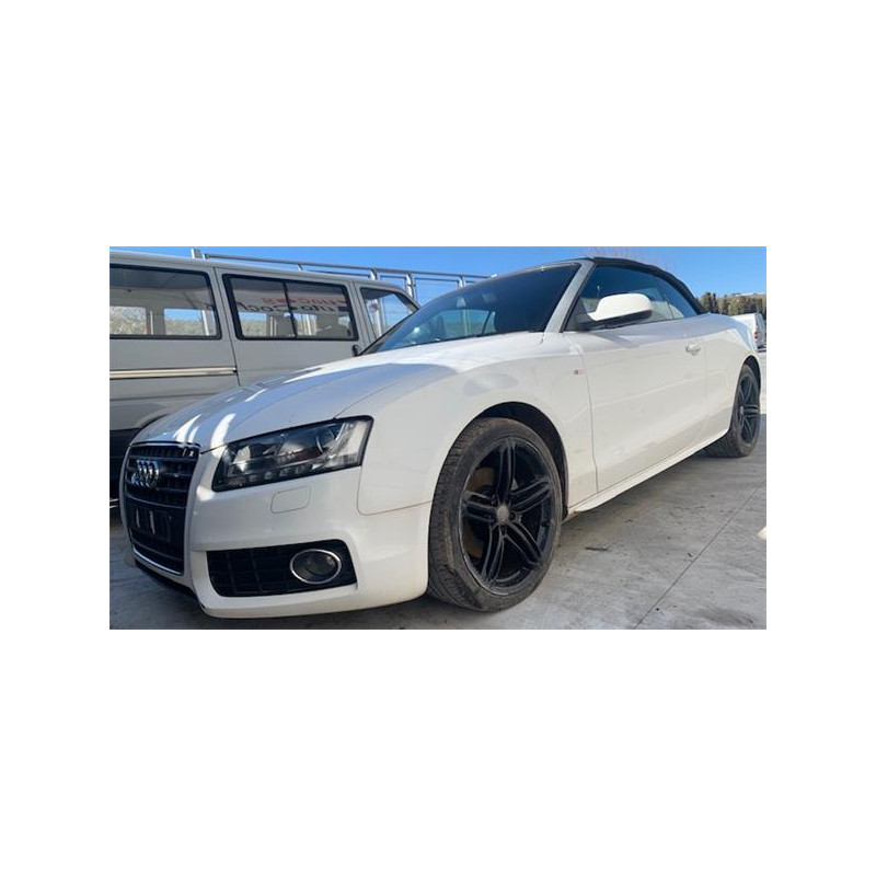 ELEVALUNAS ELECTRICO DEL. DCHO.