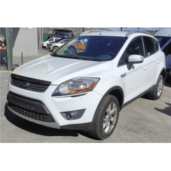 CINTURON SEGURIDAD TRA. DCHO.