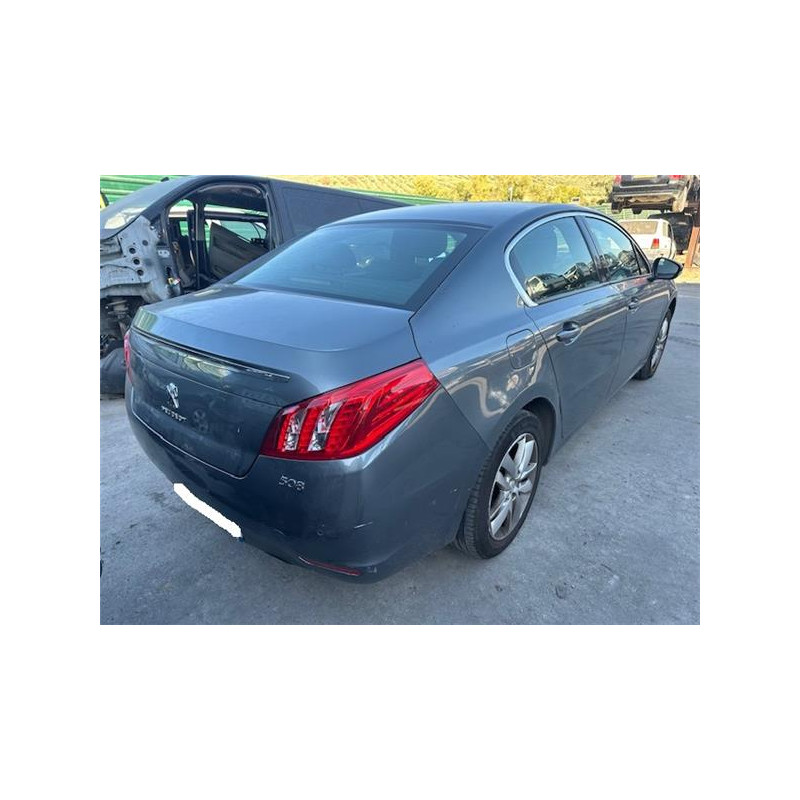 AMORTIGUADOR TRA. DCHO.