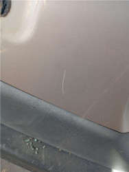 PORTON TRA. para Land Rover Freelander (LN)(01.1998->08.2002)