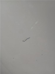 PUERTA DEL. DCHA. para Mercedes-Benz Clase C (BM 205) Berlina (03.2014->)