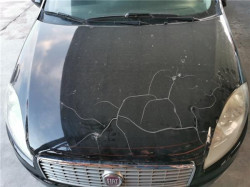 CAPO para Fiat Linea (110)(2007->)