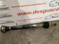 PALIER DEL. DCHO. para Skoda Octavia Berlina (5E3)(01.2013->)