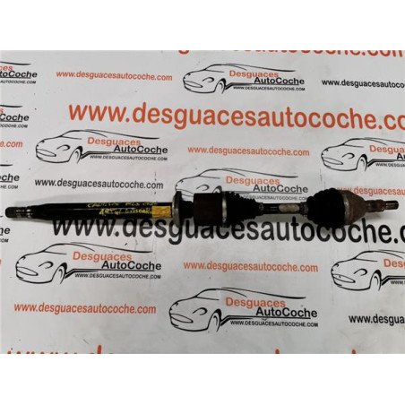 PALIER DEL. DCHO.