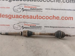 PALIER DEL. DCHO.