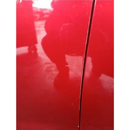 PUERTA DEL. IZDA.