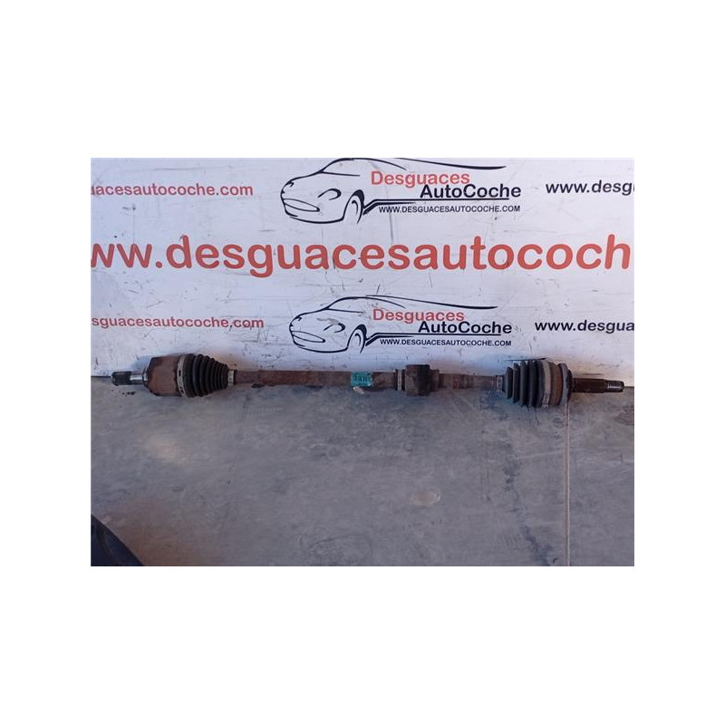 PALIER DEL. DCHO.