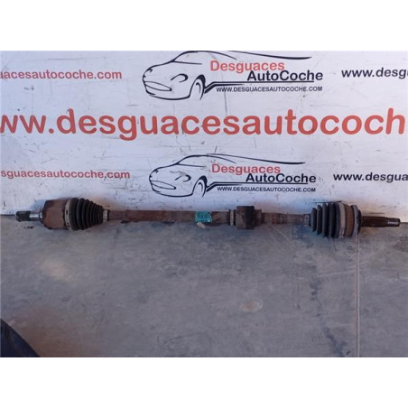 PALIER DEL. DCHO.