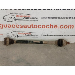 PALIER DEL. DCHO.