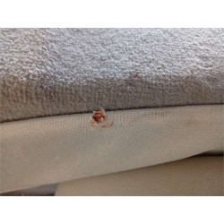 ASIENTO TRA. CENTRAL