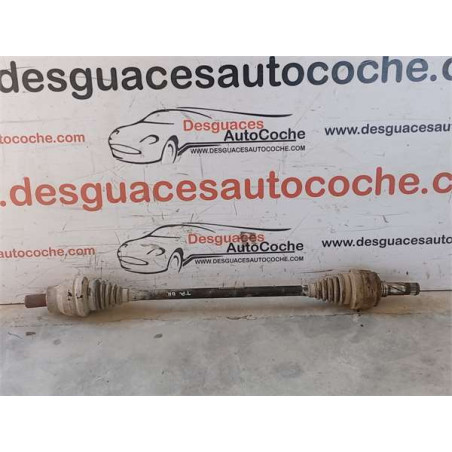 PALIER TRA. DCHO.