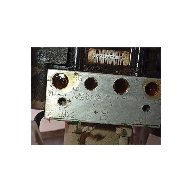 NUCLEO ABS